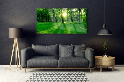 Acrylglasbilder Wald Natur