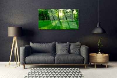 Acrylglasbilder Wald Natur