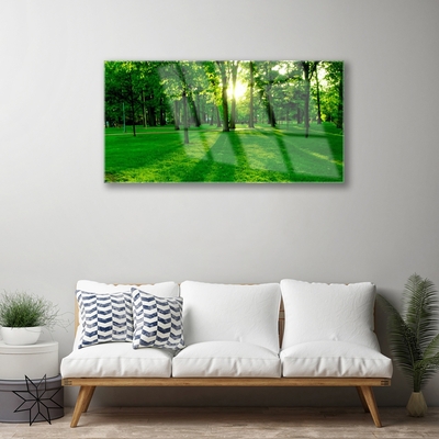 Acrylglasbilder Wald Natur