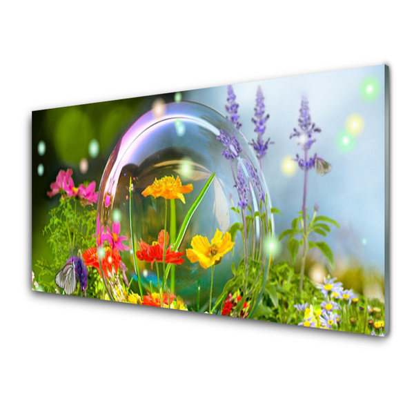 Acrylglasbilder Blumen Natur
