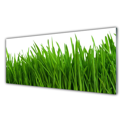 Acrylglasbilder Gras Pflanzen
