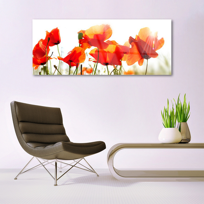 Acrylglasbilder Mohnblumen Pflanzen