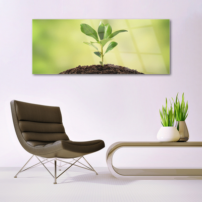Acrylglasbilder Gewächs Pflanzen