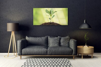 Acrylglasbilder Gewächs Pflanzen