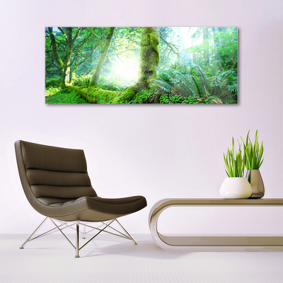 Acrylglasbilder Wald Natur