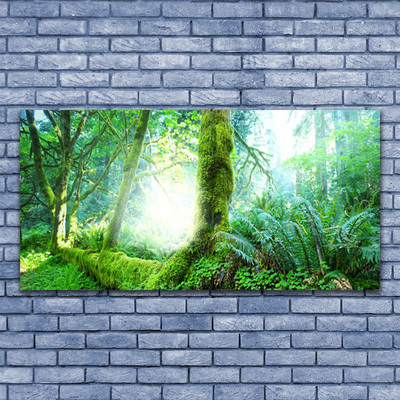 Acrylglasbilder Wald Natur