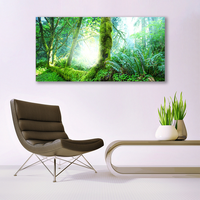 Acrylglasbilder Wald Natur