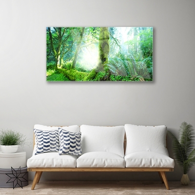 Acrylglasbilder Wald Natur