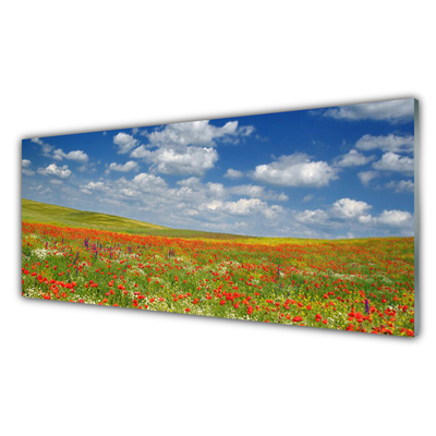 Acrylglasbilder Wiese Blumen Landschaft