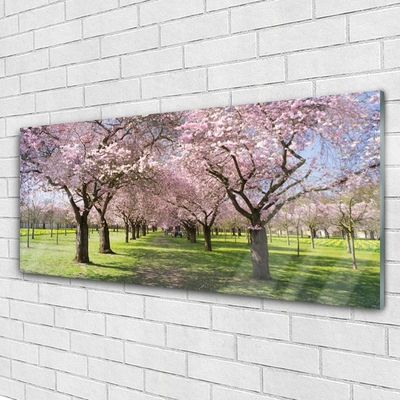 Acrylglasbilder Fußpfad Bäume Natur