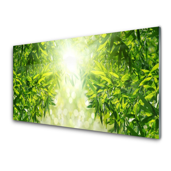 Acrylglasbilder Blätter Natur