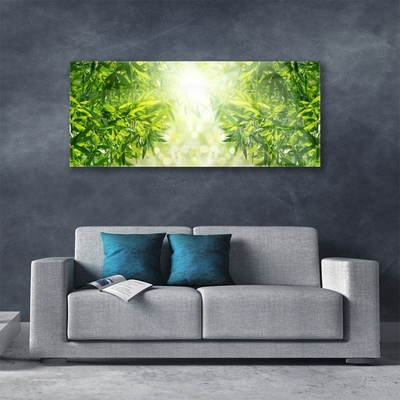 Acrylglasbilder Blätter Natur