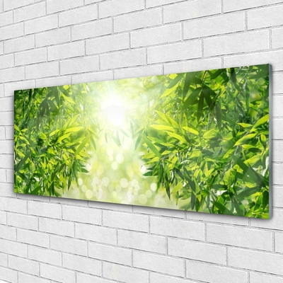 Acrylglasbilder Blätter Natur