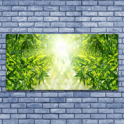 Acrylglasbilder Blätter Natur