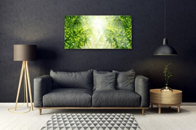Acrylglasbilder Blätter Natur