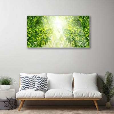 Acrylglasbilder Blätter Natur