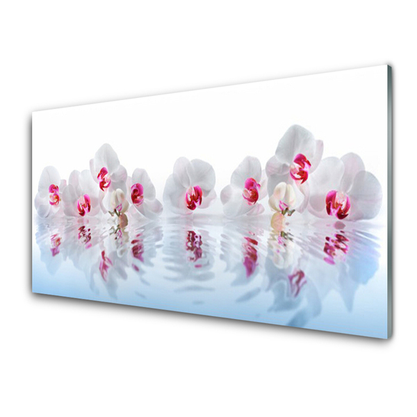 Acrylglasbilder Blumen Kunst