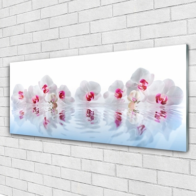 Acrylglasbilder Blumen Kunst