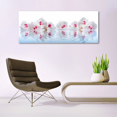 Acrylglasbilder Blumen Kunst