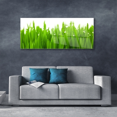 Acrylglasbilder Gras Natur