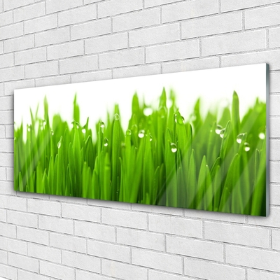 Acrylglasbilder Gras Natur