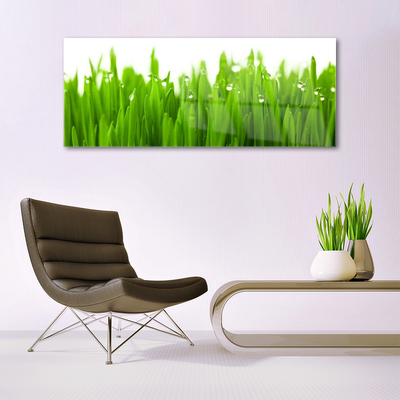 Acrylglasbilder Gras Natur