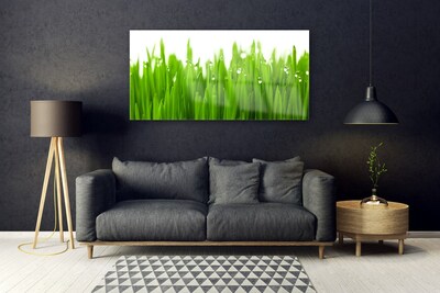 Acrylglasbilder Gras Natur