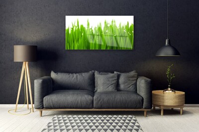 Acrylglasbilder Gras Natur
