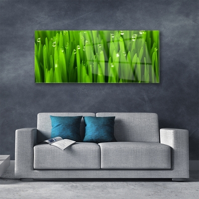 Acrylglasbilder Gras Natur