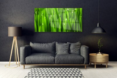 Acrylglasbilder Gras Natur