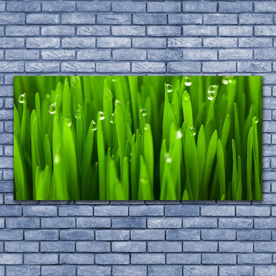 Acrylglasbilder Gras Natur