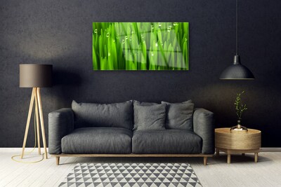 Acrylglasbilder Gras Natur