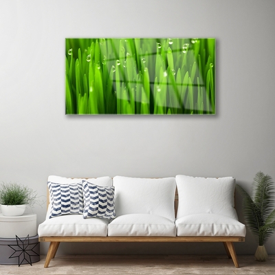 Acrylglasbilder Gras Natur