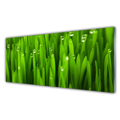 Acrylglasbilder Gras Natur