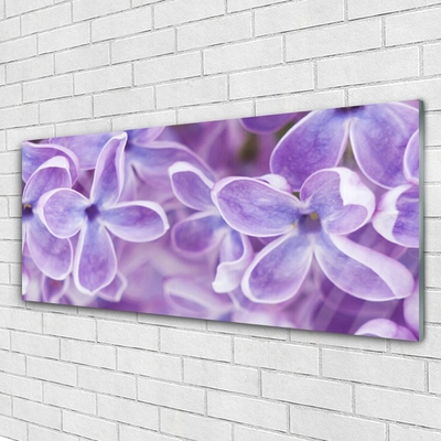 Acrylglasbilder Blumen Pflanzen