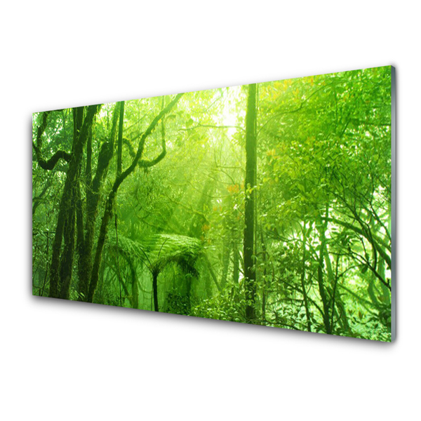 Acrylglasbilder Bäume Natur