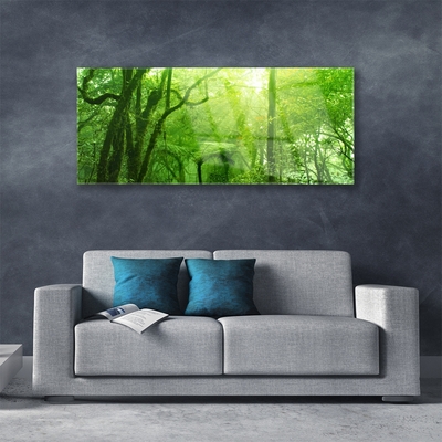 Acrylglasbilder Bäume Natur