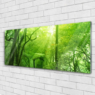 Acrylglasbilder Bäume Natur