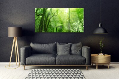 Acrylglasbilder Bäume Natur