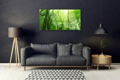 Acrylglasbilder Bäume Natur