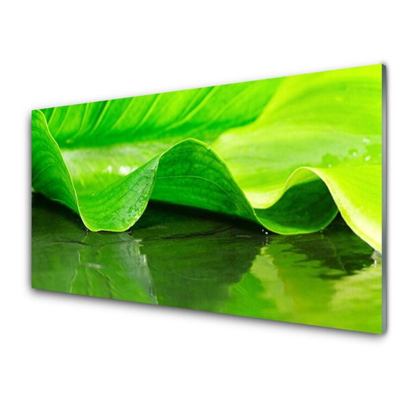 Glasbild aus Plexiglas® Blatt Pflanzen