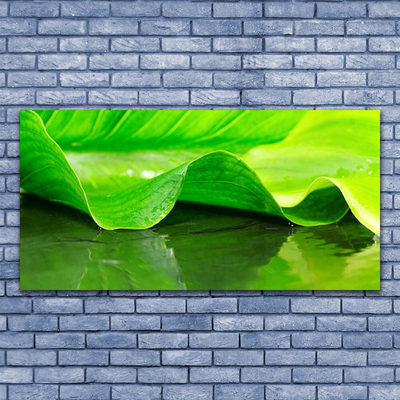 Glasbild aus Plexiglas® Blatt Pflanzen