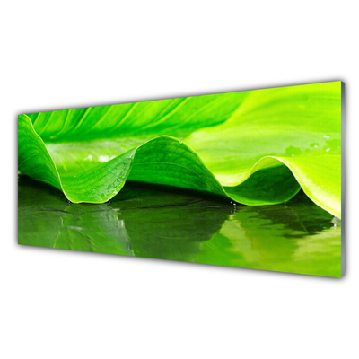 Glasbild aus Plexiglas® Blatt Pflanzen