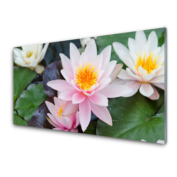 Glasbild aus Plexiglas® Blumen Pflanzen