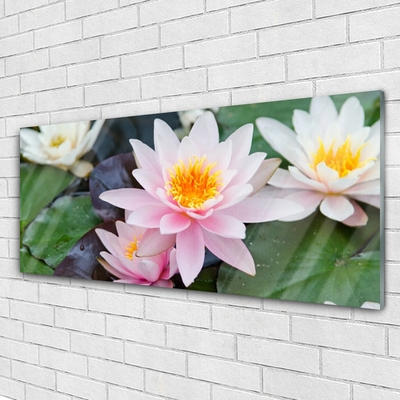 Glasbild aus Plexiglas® Blumen Pflanzen