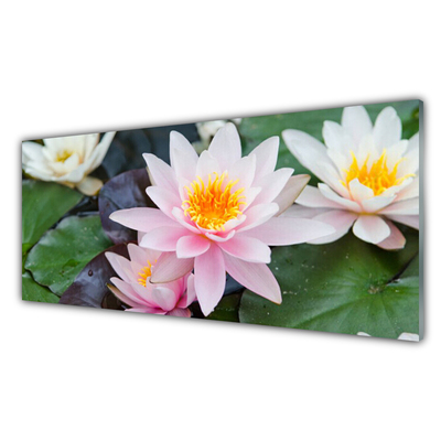 Glasbild aus Plexiglas® Blumen Pflanzen