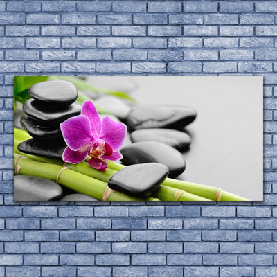 Glasbild aus Plexiglas® Bambusrohre Blume Steine Kunst