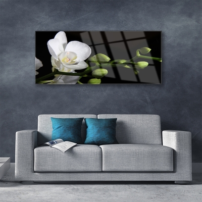 Glasbild aus Plexiglas® Blume Pflanzen