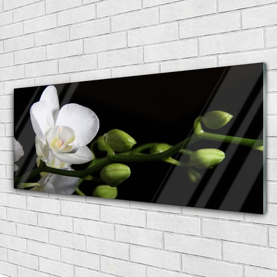 Glasbild aus Plexiglas® Blume Pflanzen