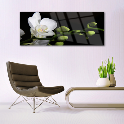 Glasbild aus Plexiglas® Blume Pflanzen